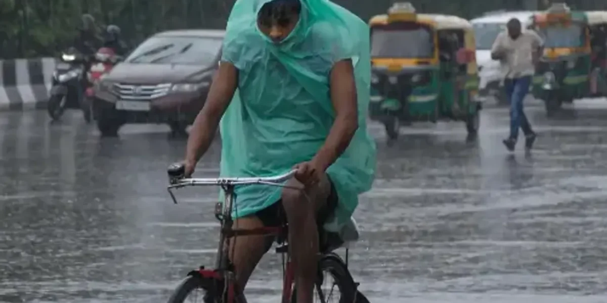With 88.2 mm of rain, Delhi had its heaviest rain in January since 1901