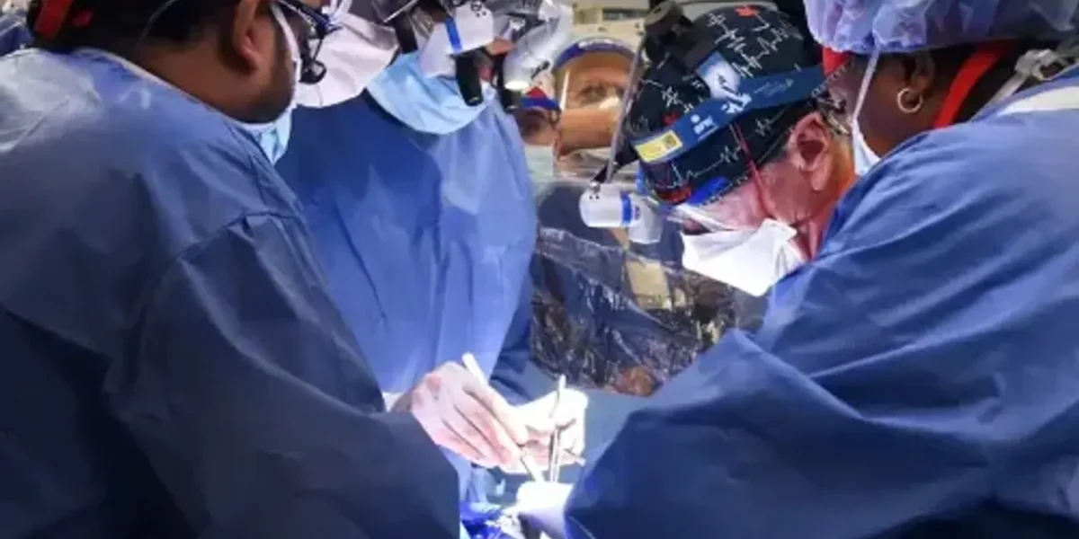 Surgeons in US have successfully transplanted a pig heart into a human patient