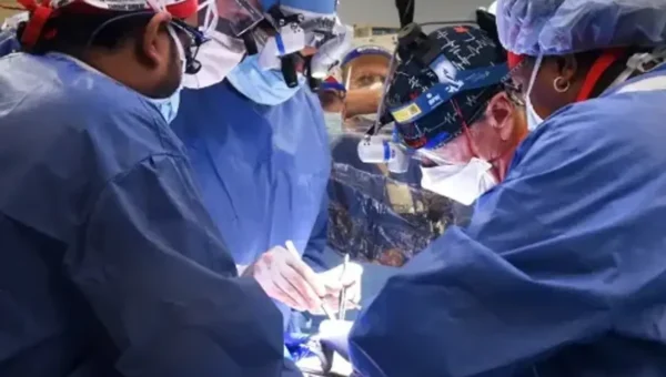 Surgeons in US have successfully transplanted a pig heart into a human patient