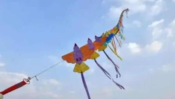 Gujarat’s Makar Sankranti celebrations: Around 60 people hurt by kite strings