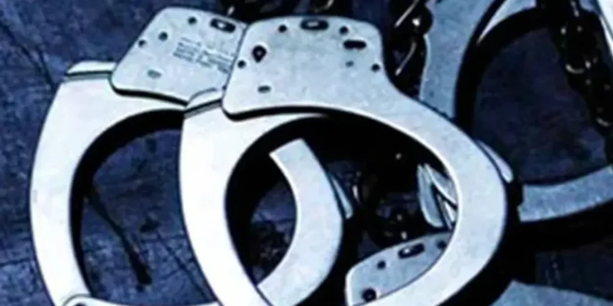 Sabarkantha: A 62-year-old lady apprehended for murder of her grandson