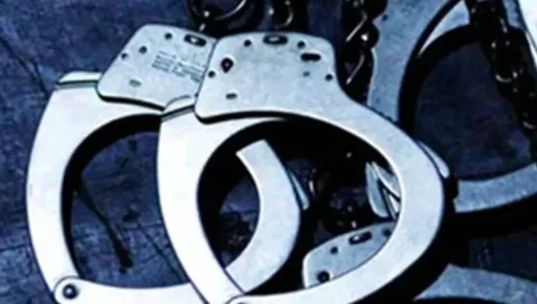 Sabarkantha: A 62-year-old lady apprehended for murder of her grandson