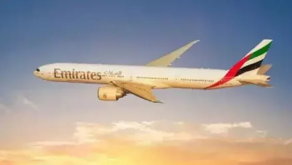 Flight tickets connecting India and the United Arab Emirates are now half-price, dropped drastically