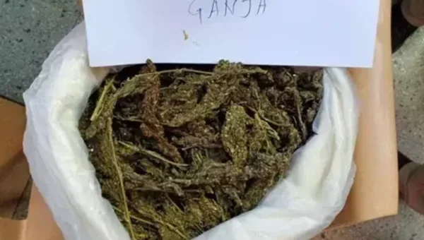 On the Mumbai-Ahmedabad highway, 50 kg of ganja seized, two apprehended 