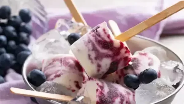 Blueberry Kulfi recipe: This creamy, sweet and flavourful kulfi is a treat for dessert lovers