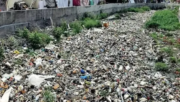 Surat: Citizens strive for plastic-free Tapi