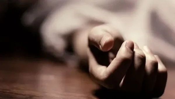 Vadodara: Man falls to death from 80 feet in theme park