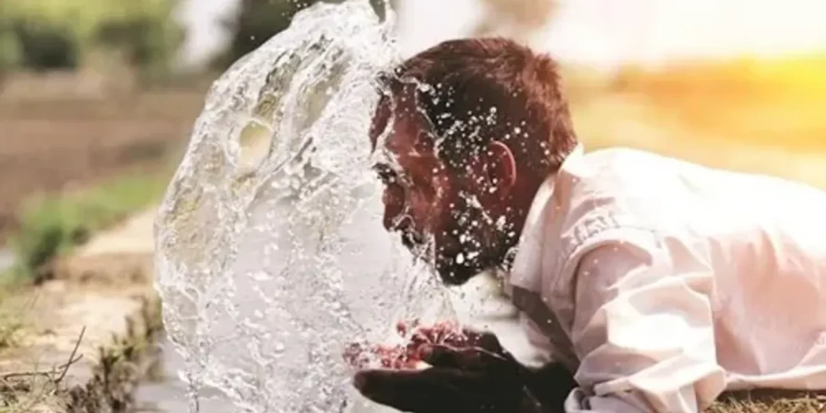 Heatwave to persist in these states over next few days, says IMD