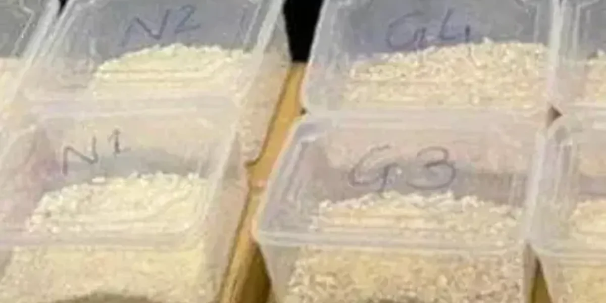 Heroin worth Rs 60 crore seized at Ahmedabad airport