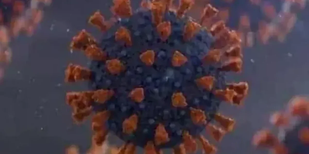 WHO: Covid-19 virus continues to evolve, new variants will emerge