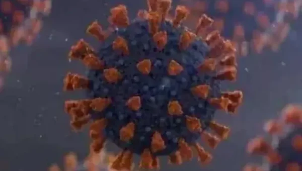 WHO: Covid-19 virus continues to evolve, new variants will emerge