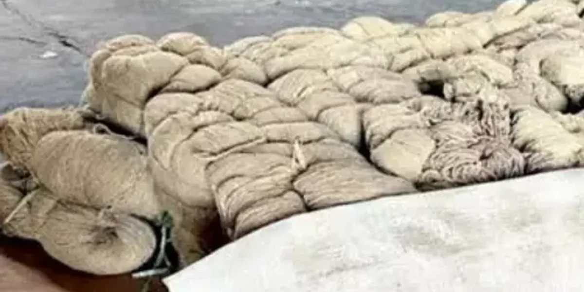 Gujarat: 400kg of heroin-coated yarn seized at Pipavav