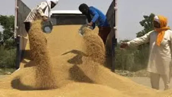 Centre announces wheat export ban, amid surging prices