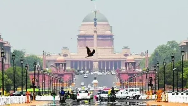 Mercury close to 50°C in some areas in city