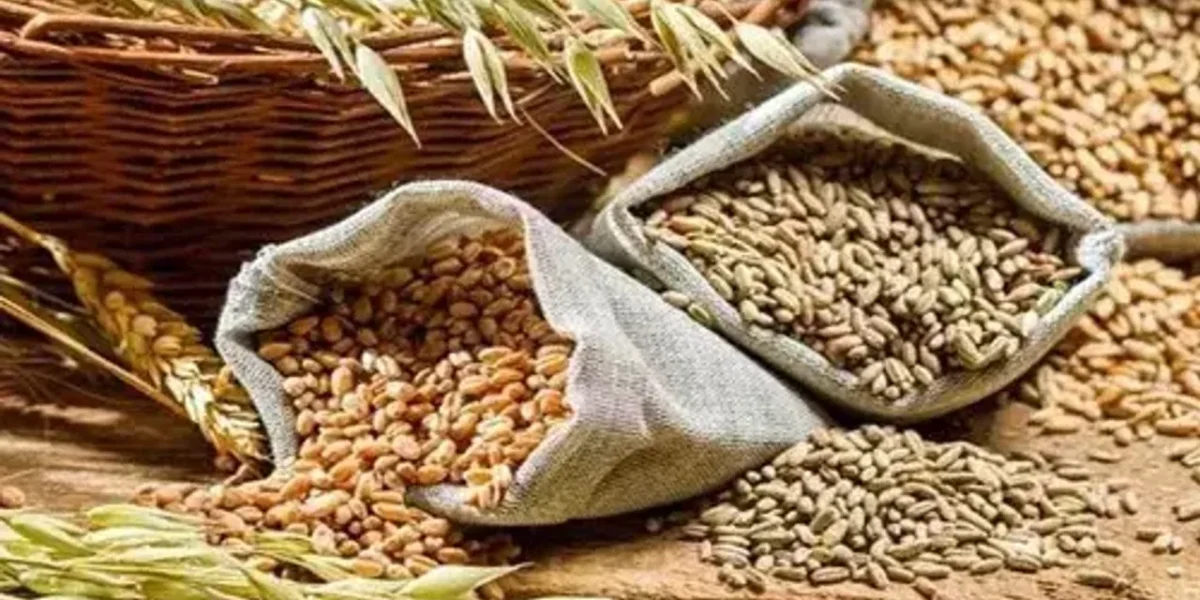 Prime Minister reviews various aspects of wheat supply, stock and exports