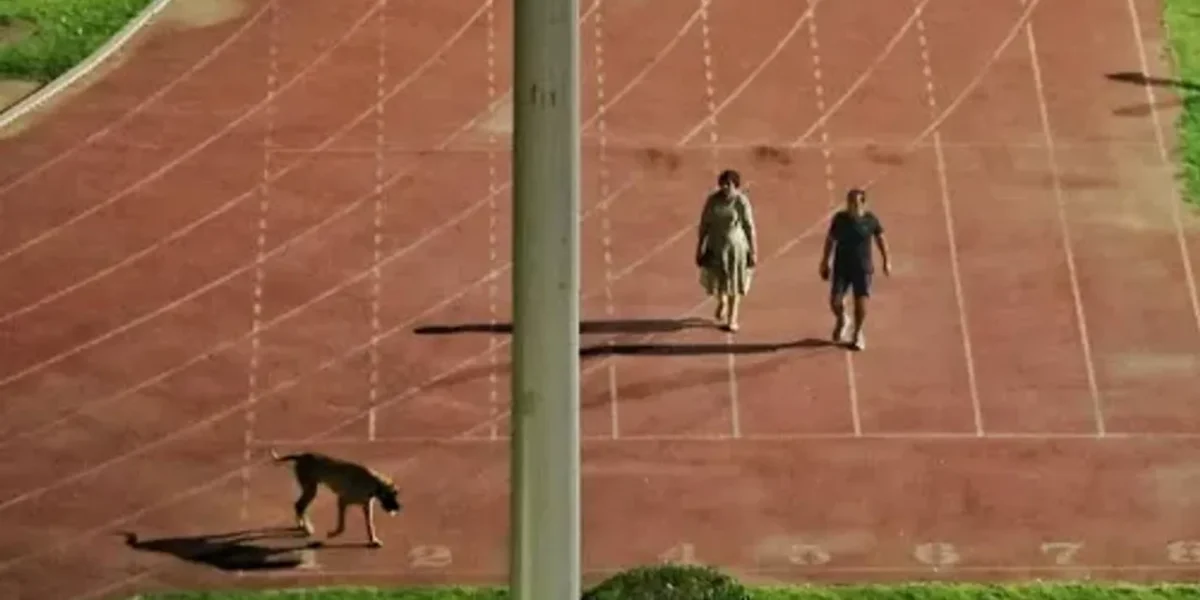 Stadium is emptied, athletes told to leave so that IAS officer can walk with dog
