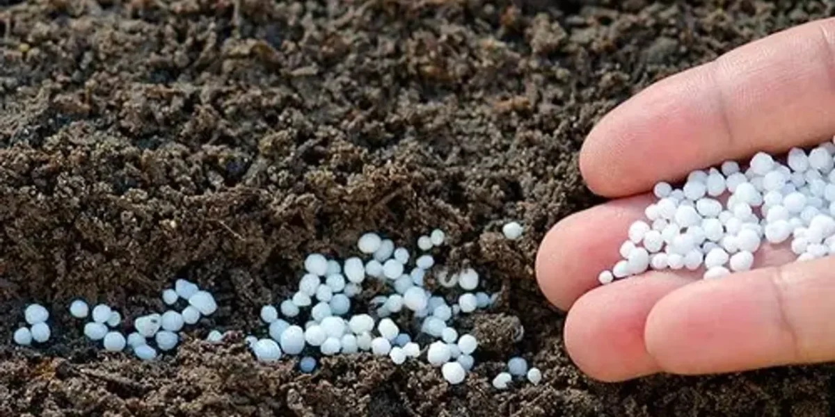 In a first, India to import large quantity of urea from the US