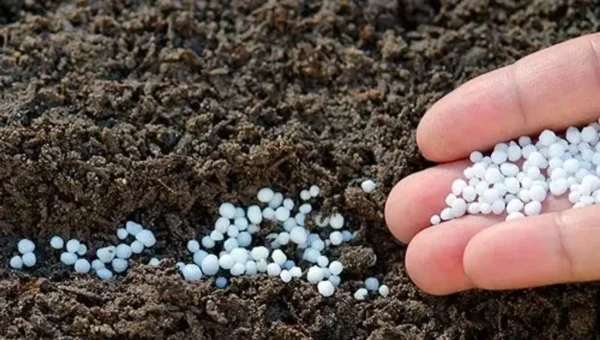 In a first, India to import large quantity of urea from the US