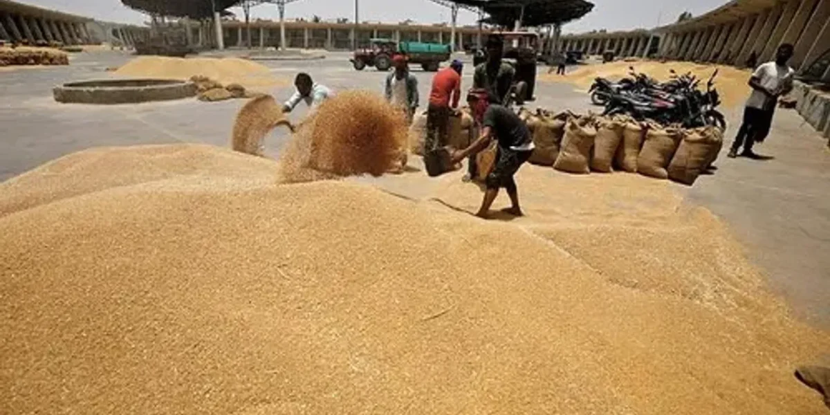 UAE To suspend exports of Indian wheat for 4 months: Report