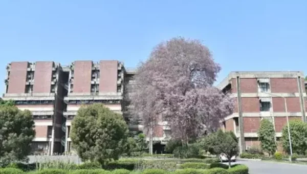 IIT-Kanpur launches course on quantitative finance and risk management