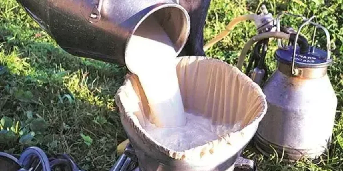 Drinking Milk will be expensive from NEXT week, BIG setback for ‘COMMON MAN’