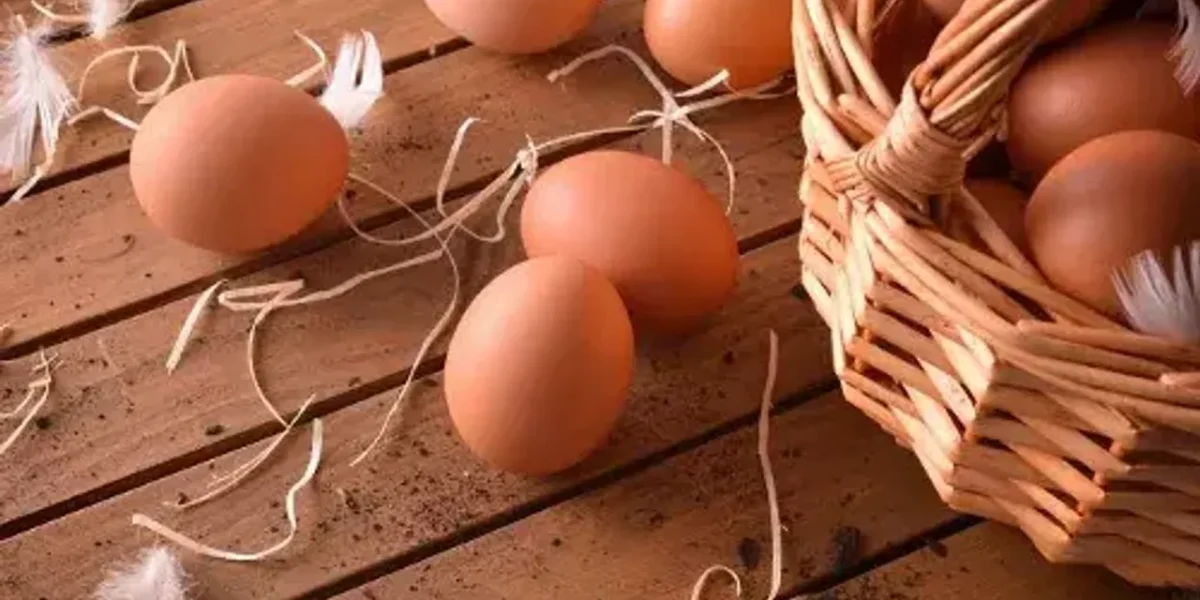 Chicken, egg prices decline amid fall in demand
