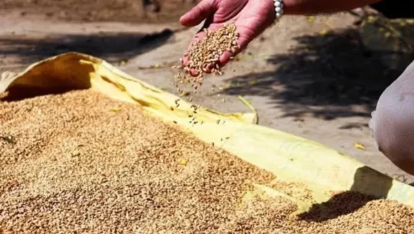 India ships 1.8 million tonnes of wheat to nations battling food crisis