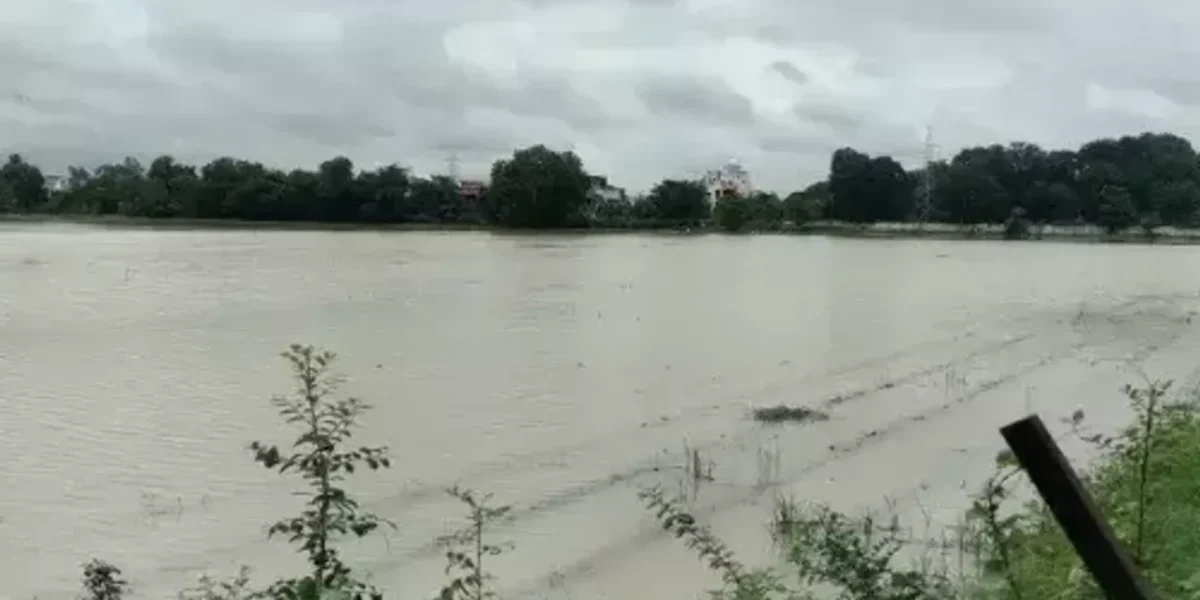 The farm of Navsari Agriculture University at Maktampur in Bharuch flooded after 5 inches of torrential rains