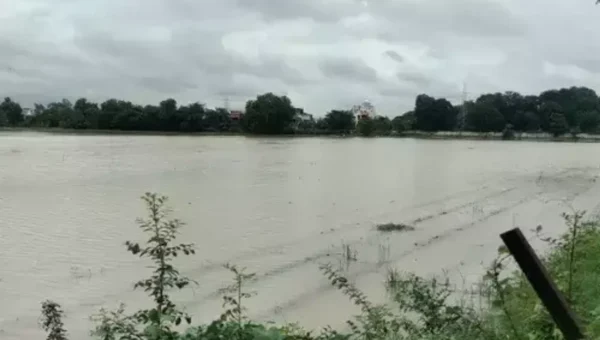 The farm of Navsari Agriculture University at Maktampur in Bharuch flooded after 5 inches of torrential rains