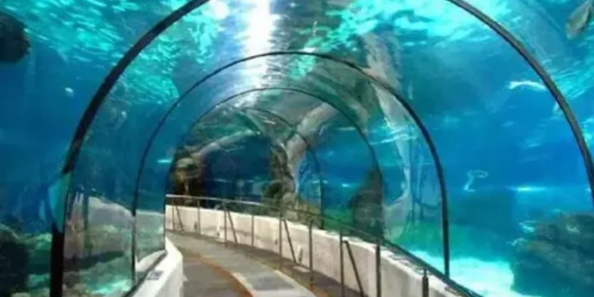 West Bengal: India’s first underwater metro tunnel to start in 2023