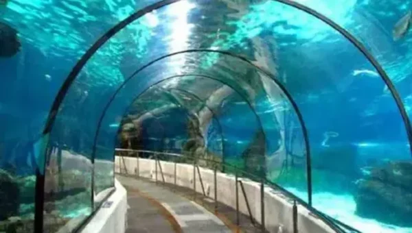 West Bengal: India’s first underwater metro tunnel to start in 2023