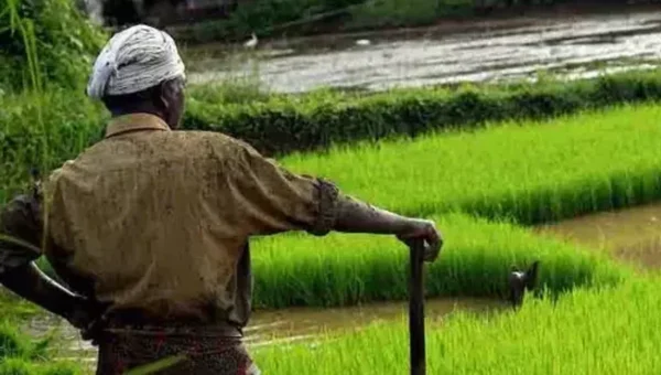 Winter rain leaves farmers worried in Gujarat