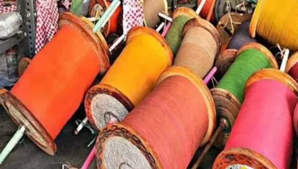 Gujarat Govt issues notification to strictly implement manja