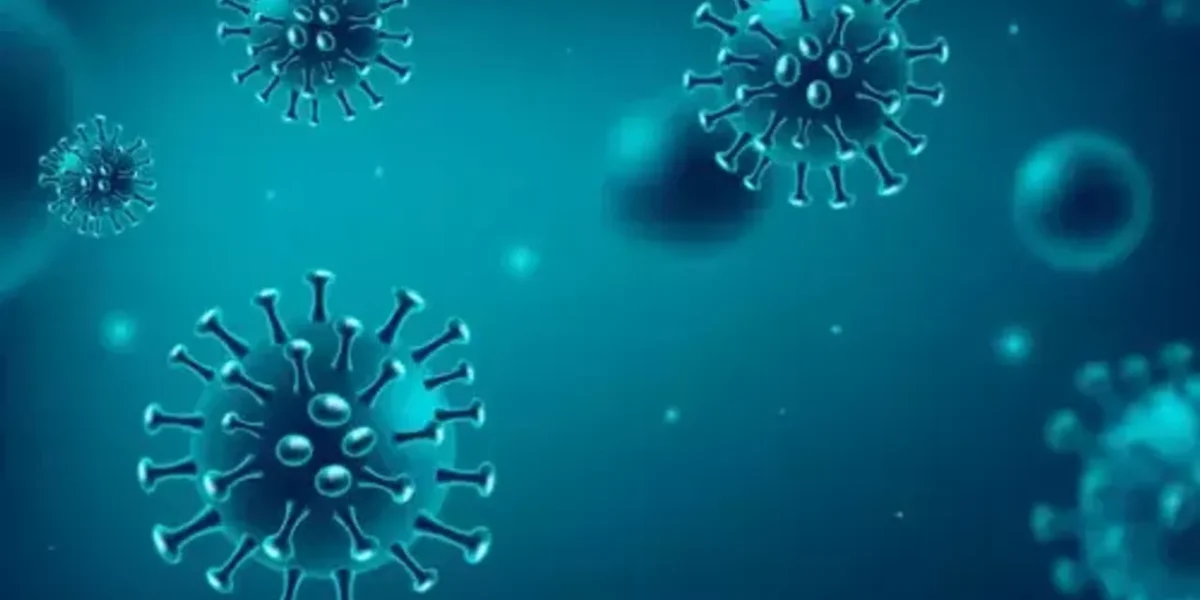 Gujarat records 2 more cases of XBB.1.5 variant