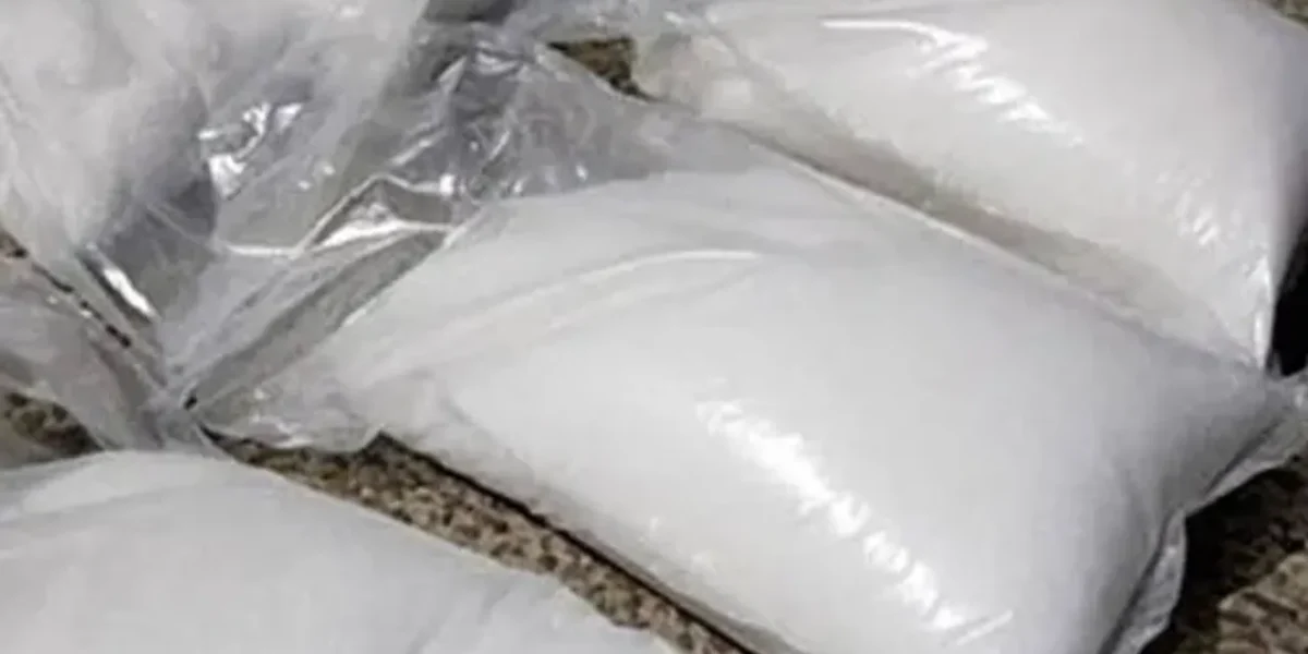 Gujarat: ‘Drugs worth Rs 5,338 crore seized in last 16 months