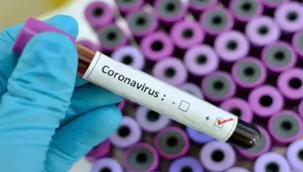 Active Covid cases touch 916 in Gujarat; 1 death in Bharuch
