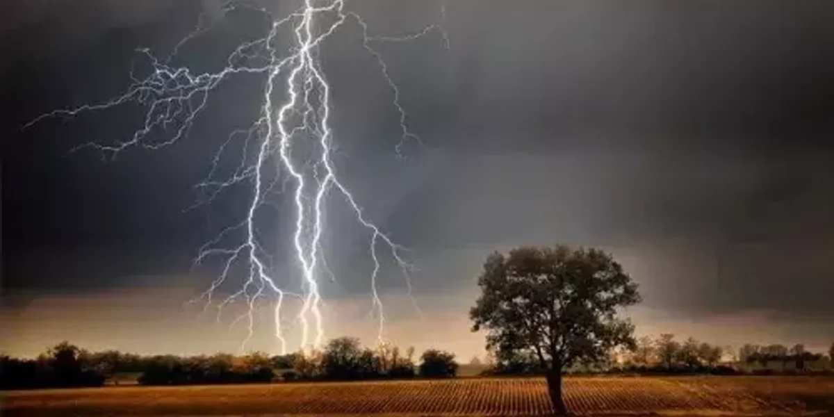 5 killed as rain, thunderstorm batter Gujarat
