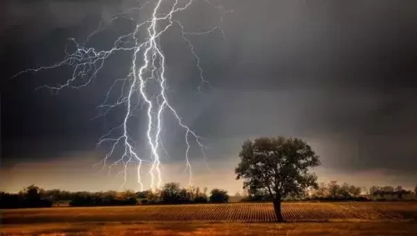 5 killed as rain, thunderstorm batter Gujarat