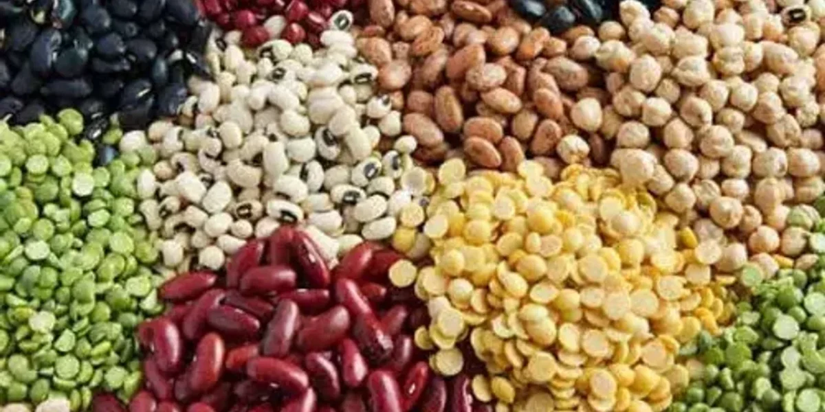 Govt constitutes Committee to monitor stock of Tur