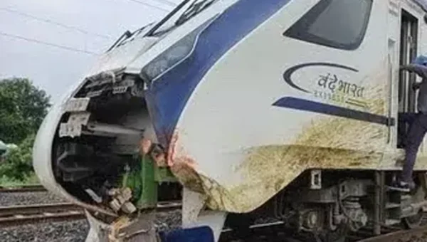 Vande Bharat Express hits cattle, cow falls on man peeing on tracks, both dead