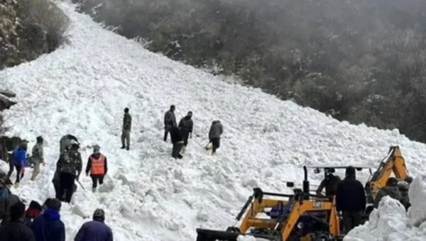 7 tourists killed as avalanche hits Sikkim; rescue operations under way
