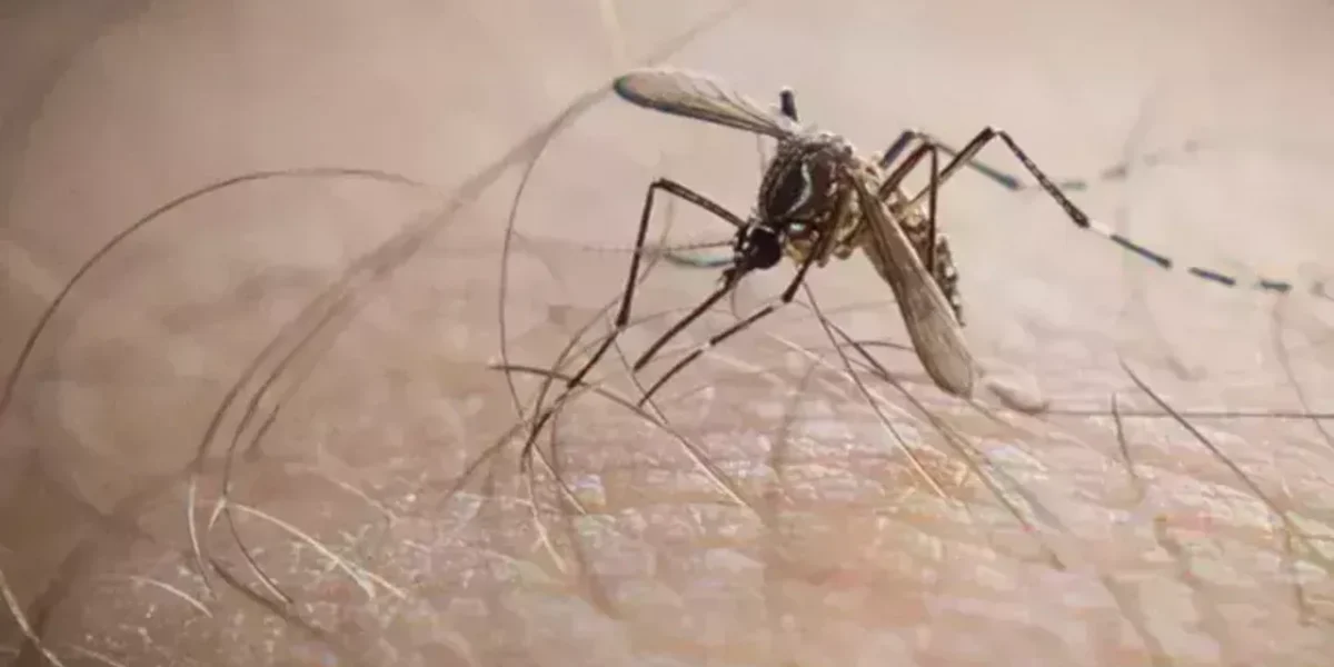 Peru health minister resigns over dengue crisis