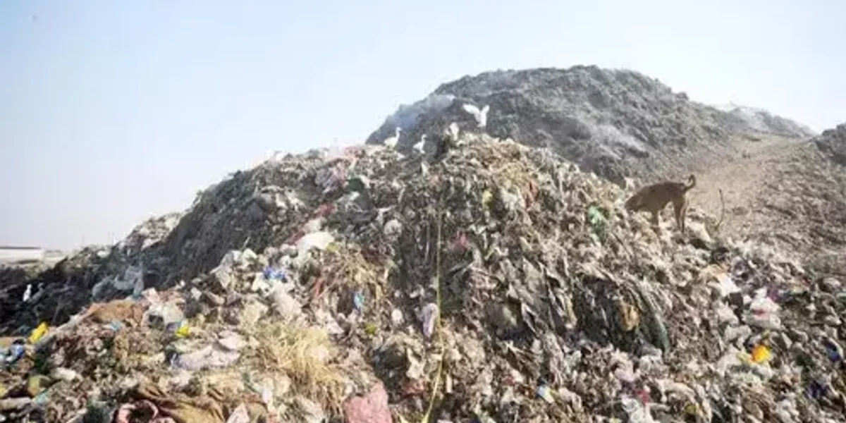 Gujarat: An Amdavadi creates 11kg of plastic waste a year