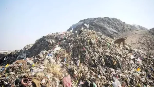 Gujarat: An Amdavadi creates 11kg of plastic waste a year