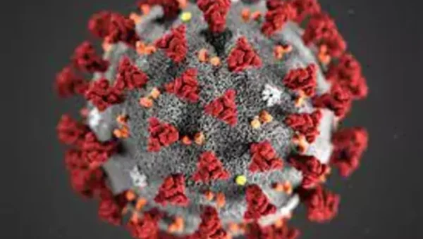 250,000 volunteers in Kerala to be trained to detect zoonotic diseases