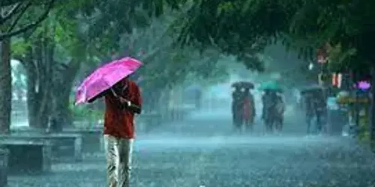 IMD: Gujarat to receive heavy rainfall for the next 5 days