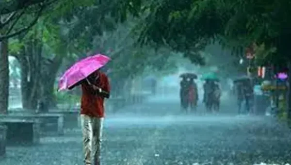 IMD: Gujarat to receive heavy rainfall for the next 5 days