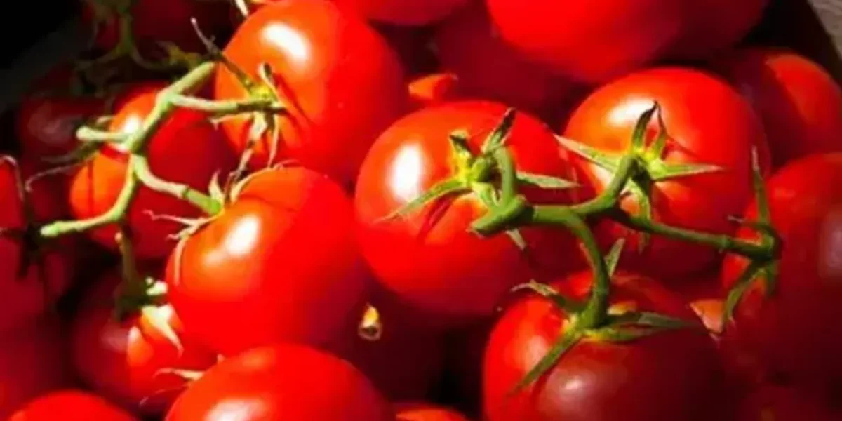 Tomato prices today: Tomatoes at Rs. 160/kg in Vizag