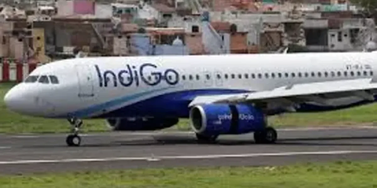 IndiGo Derosters woman pilot after video of mob beating her in Delhi goes viral