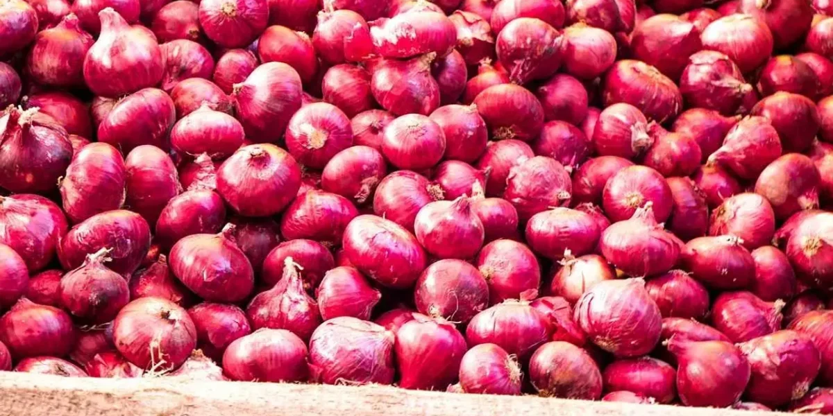 Why government has imposed 40% export duty on onions in India !
